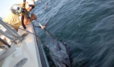 Deep Sea Fishing Central New Hampshire Guides